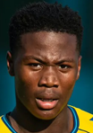 Ekene Chukwuani